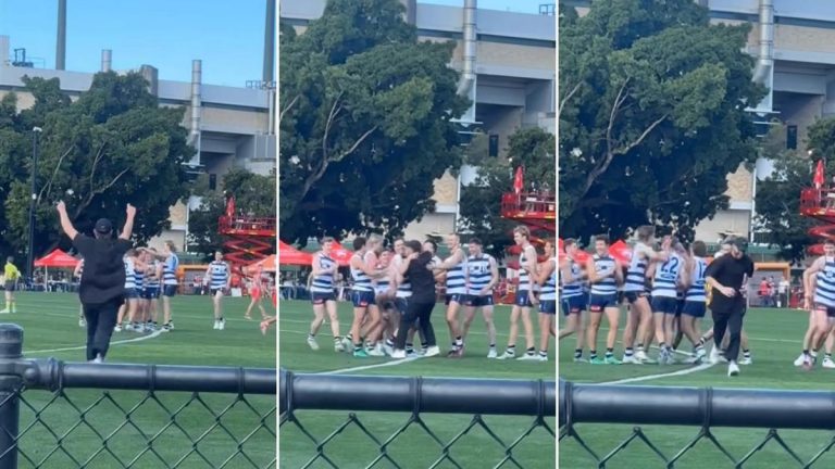 Former Geelong player Billie Smedts jumps fence to celebrate Mitch Duncan’s final VFL goal
