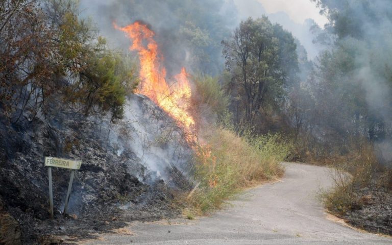 The EU mobilizes resources and firefighters from 7 member states to help Spain against the wildfires