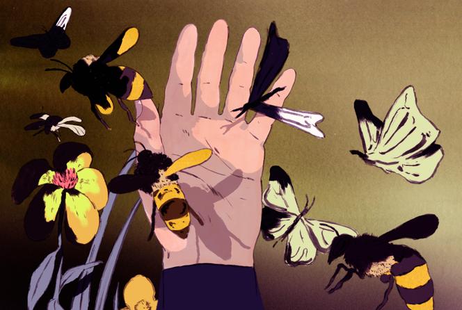Why scientists are divided over whether there is a ‘sixth mass extinction’