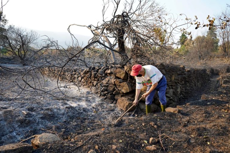 EU wildfires hit new record as flames scorch area larger than Cyprus