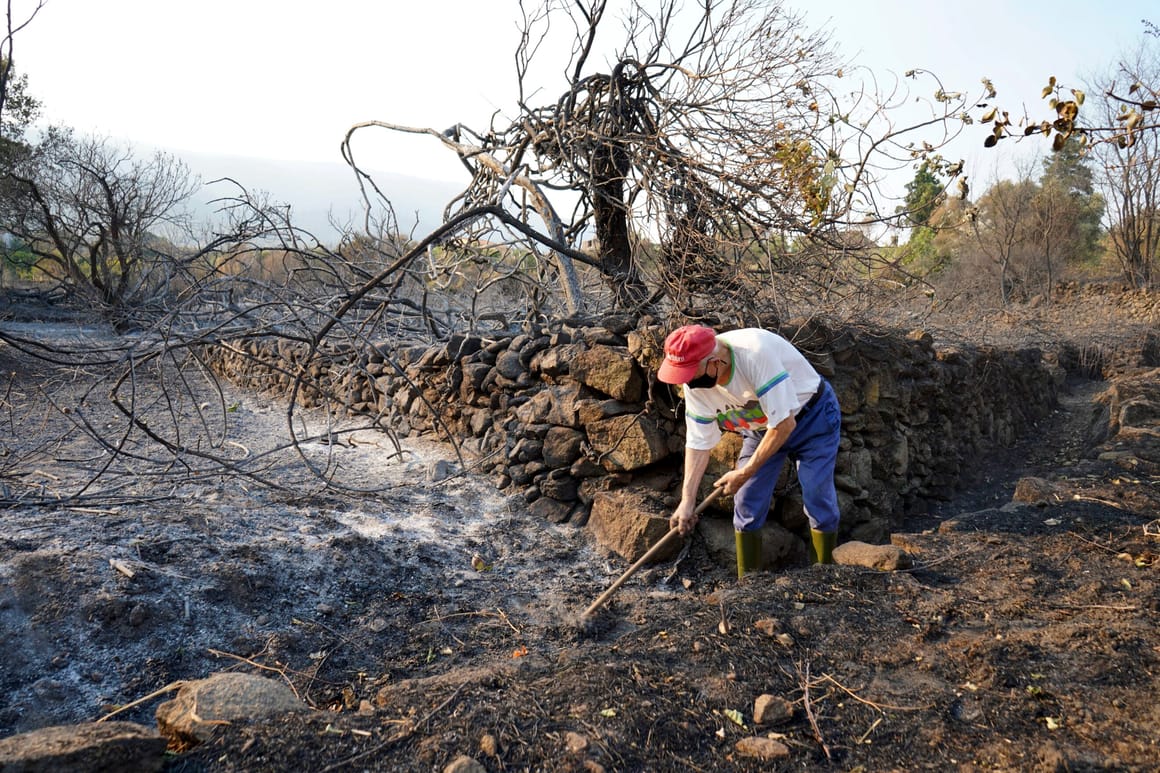 EU wildfires hit new record as flames scorch area larger than Cyprus