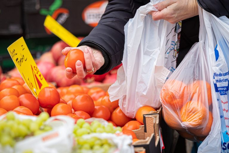 Portugal was the third largest producer of tomatoes in the EU in 2024