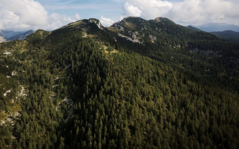 Ministers of the Informal Group on Forests on the Challenges of European Forests