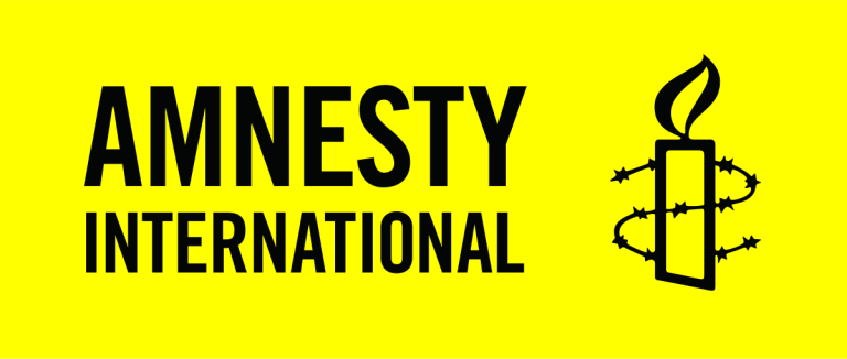 Amnesty Intl’s Recent Report On Nigeria Fake, Mischievous, Says NDMG