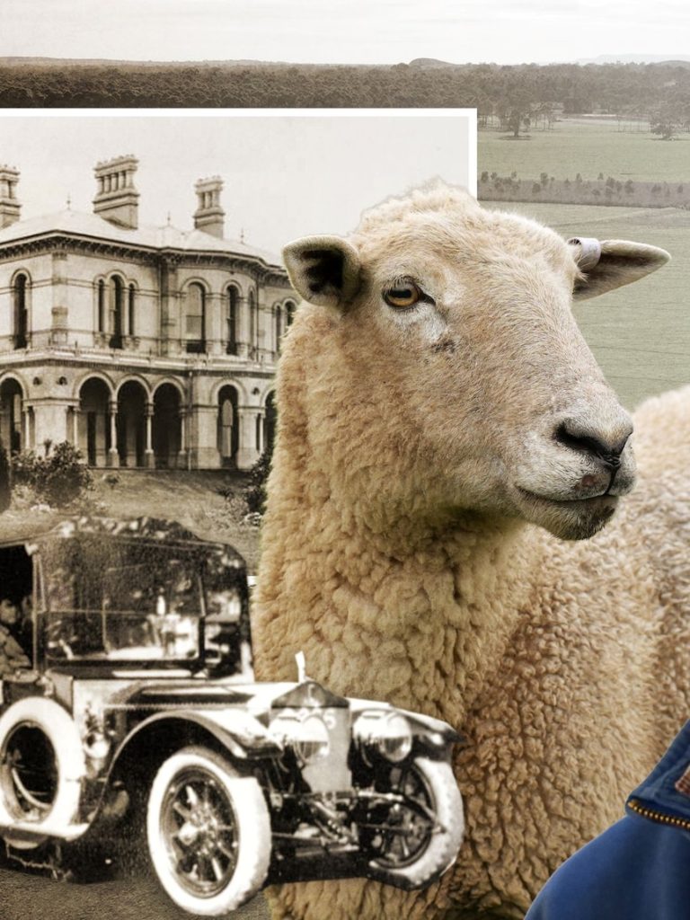 Farmers innovate to beat drought in former ‘wool capital of the world’