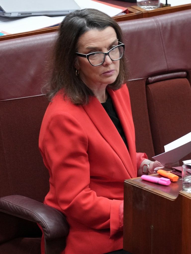 Labor faces Senate showdown over home supports for older Australians