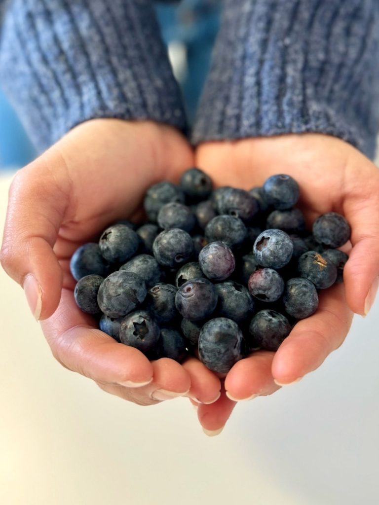 Surge in berry consumption prompts call for pesticide ban