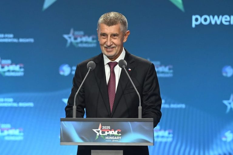 Czech election frontrunner Babiš hit over head with a crutch