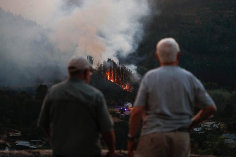 En Espagne, l’extrême droite progresse pendant que socialistes et conservateurs s’écharpent sur les incendies