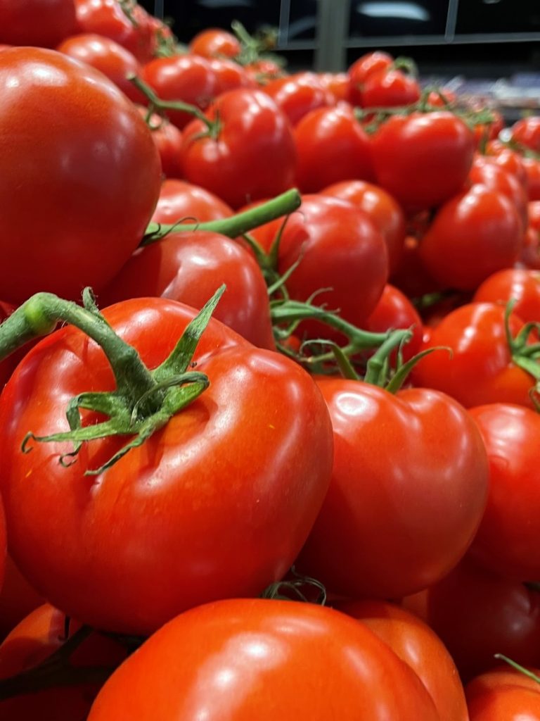 Tomato growers back in business after catastrophic virus outbreak