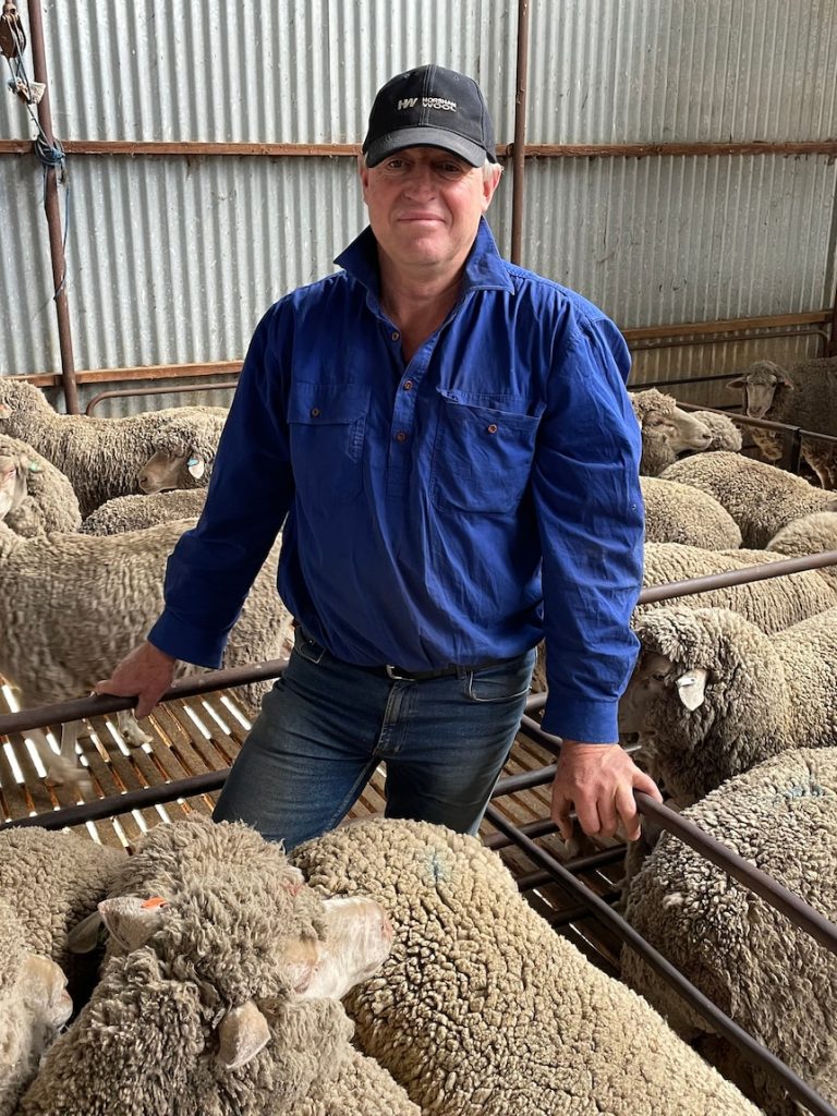 ‘Defeated’ Victorian farmers look for answers as livestock losses mount