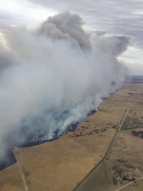 Supreme Court rules late pastoralist’s actions led to SA bushfire