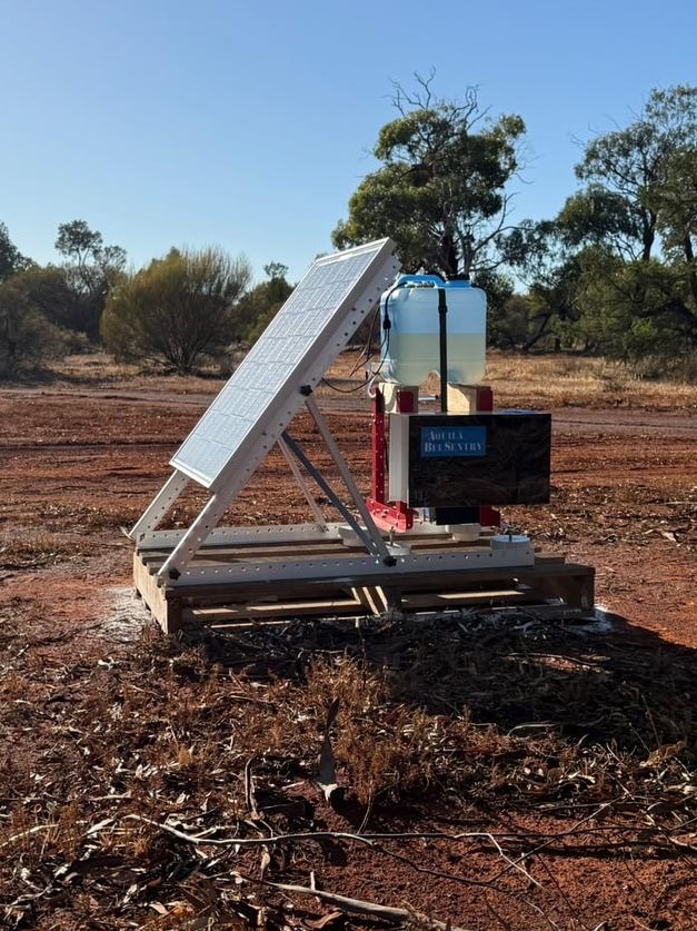 Varroa mite reaches another state, but WA has upped its game