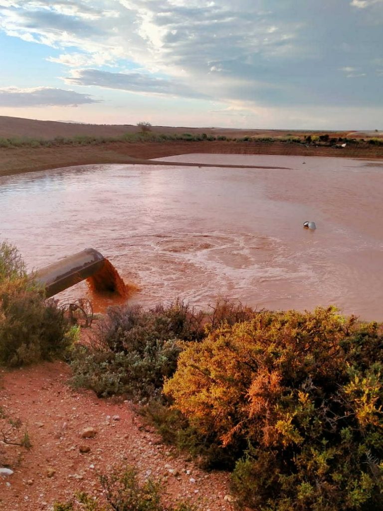 Worn out graziers ‘dance in the mud’ as heavy rain doubles yearly totals