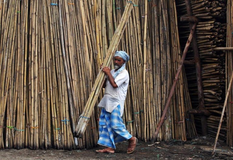 India Pushes for Ethanol From Bamboo