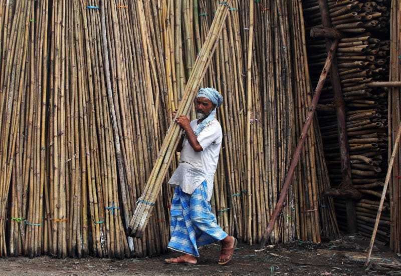 India Pushes for Ethanol From Bamboo