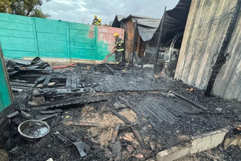 TEARS on fire: Animal rescue shelter burns to the ground