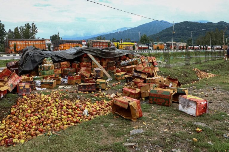 Kashmir’s Fruit Harvest Wrecked