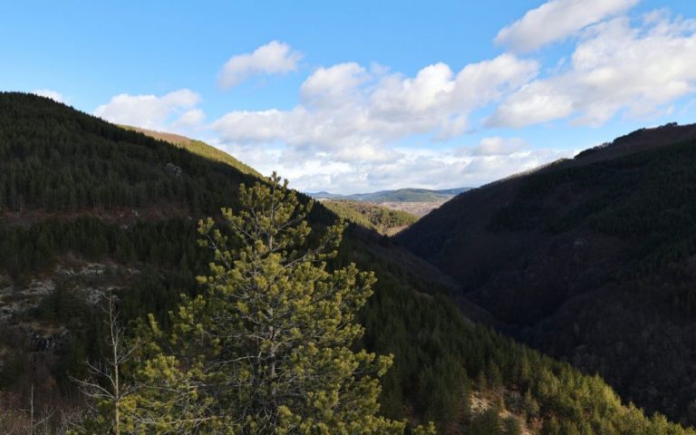 Unique model for forest management in forestry cooperatives in the Rhodopes is presented in a European study
