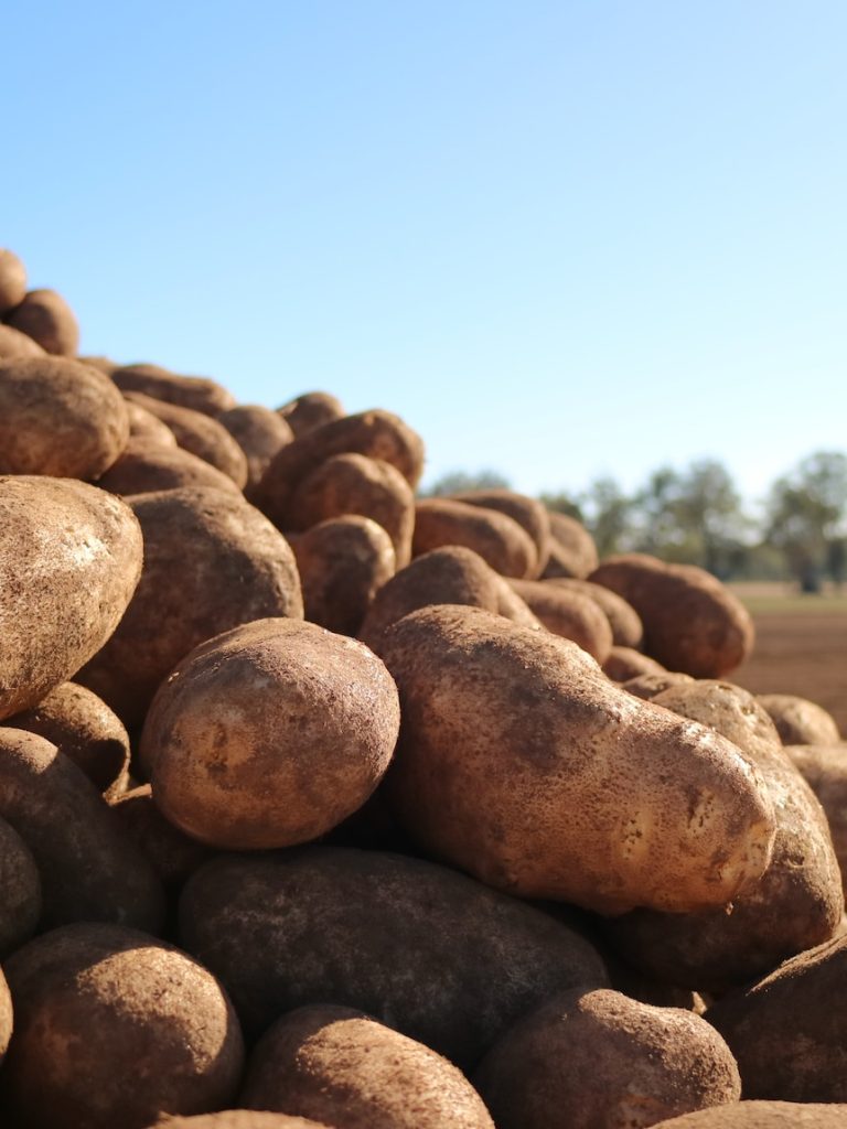 Eradication of potato mop-top virus impossible, biosecurity says as ninth detection confirmed