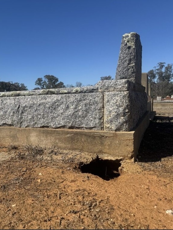 ‘Devastating’: Rabbits dig into graves in southern NSW cemetery