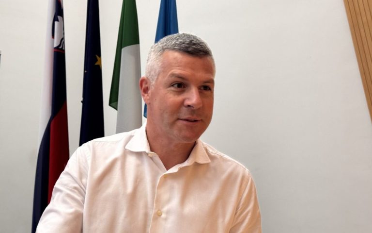 Slovenian MEP in BiH calls for the swift adoption of the reform agenda