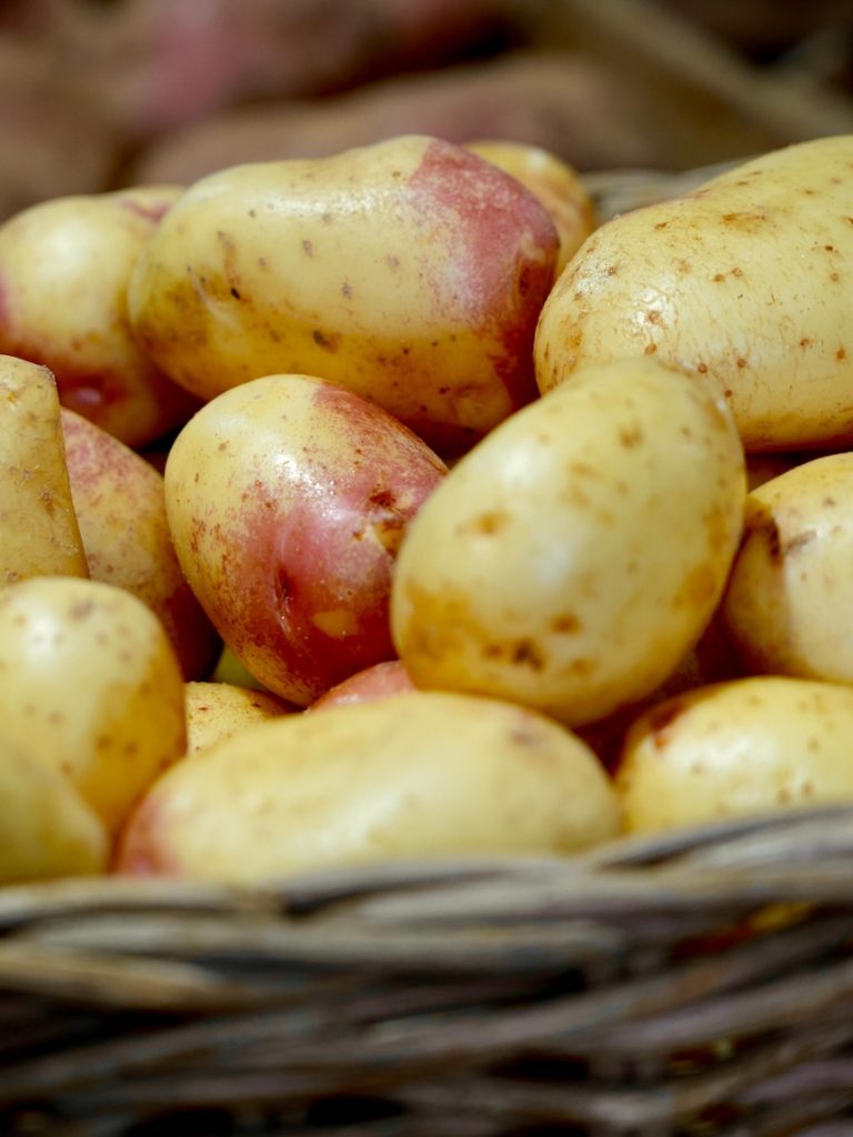 Potato mop-top virus detected in Victoria for first time