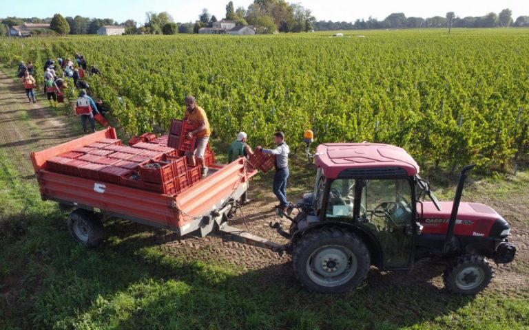 Common Agricultural Policy: France expresses its “deep incomprehension” to Brussels