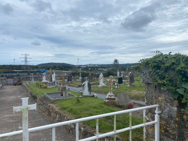 Ireland’s ‘Viagra Village’ in the eye of Trump’s tariff storm 
