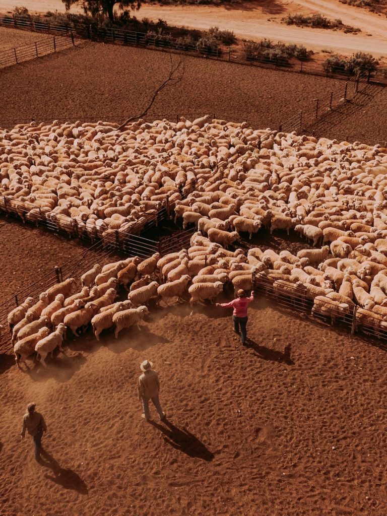 Sale of Australia’s biggest sheep station at Rawlinna approved