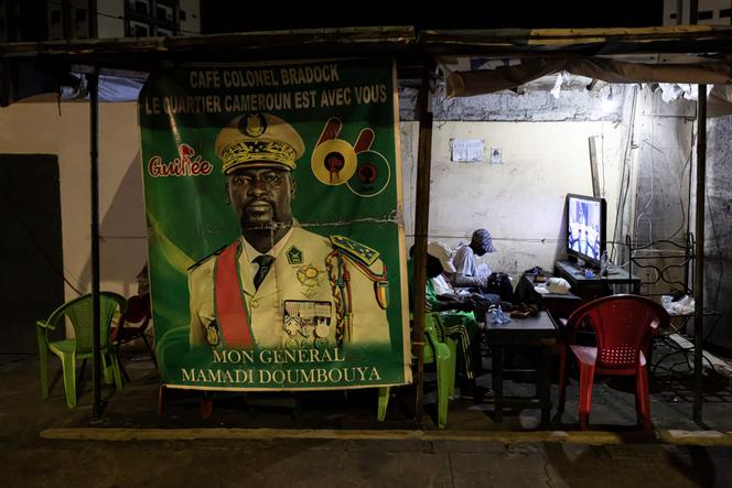 Guineans resoundingly approve new constitution, pave way for elections