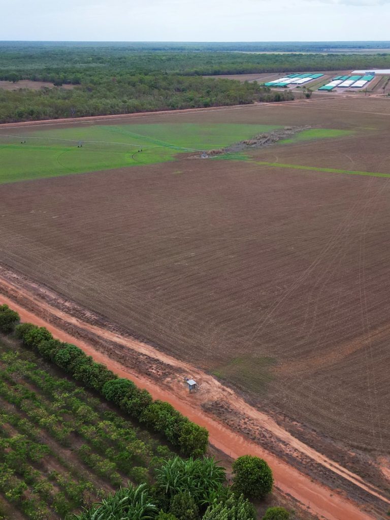 Major Australian croc farm irrigating with water high in E. coli