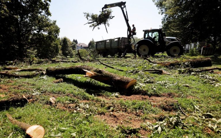 Slovenian Ministry marked the re-approval of the forest reduction regulation as an extraordinary success