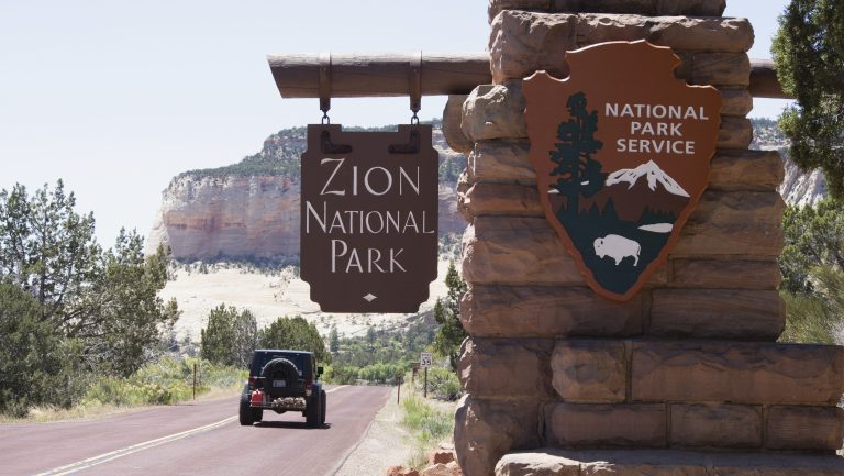The Dismantling of the US Forest Service Is Imminent
