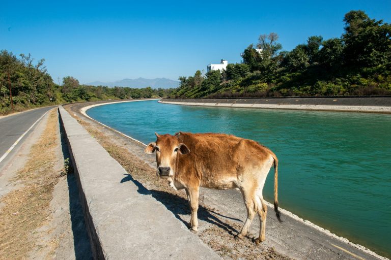 The Ganges River is drying up faster than ever