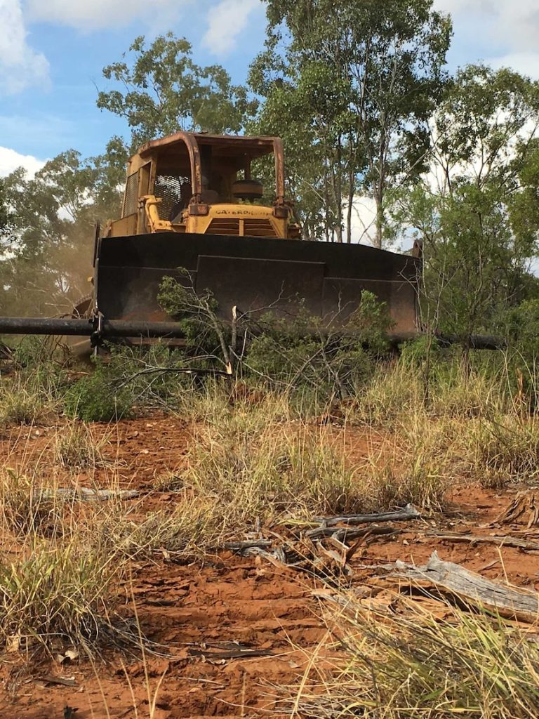 Land clearing stoush continues as environmentalists unsatisfied with drop