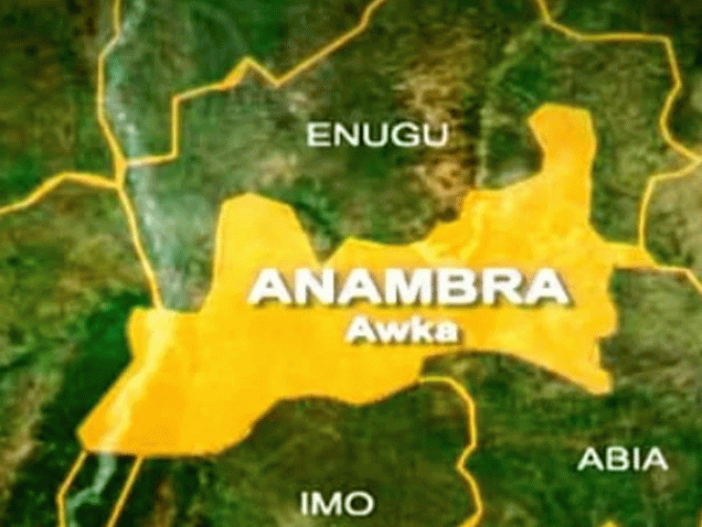 Patients In Anambra Hospitals Face Dilemma As Health Workers Begin Indefinite Strike Tuesday