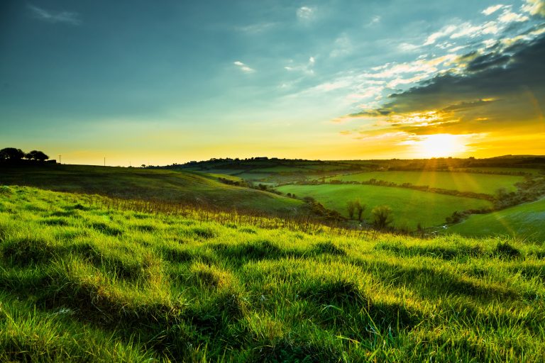 Ireland eyes SEA as major market for grass-fed dairy, protein exports
