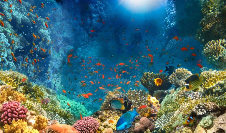 The High Seas Treaty Represents a Turning Point for the Ocean