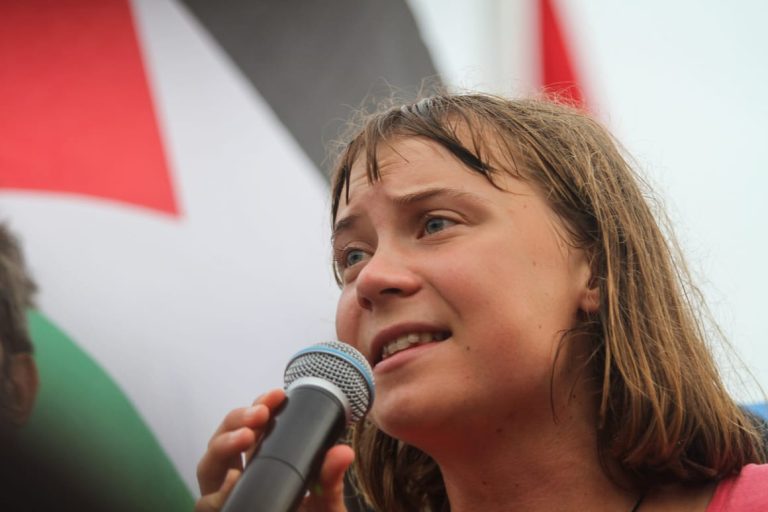 Israel intercepts Gaza-bound aid flotilla carrying Greta Thunberg and MEPs