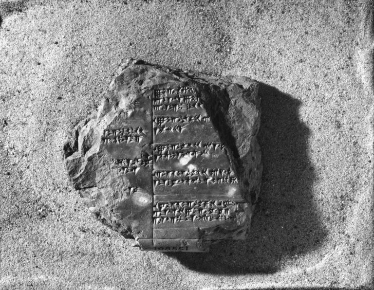 Hindi, Greek and English all come from a single ancient language