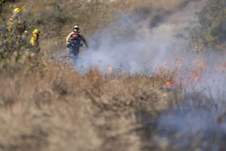 Shutdown Sows Confusion Across the U.S. Forest Service
