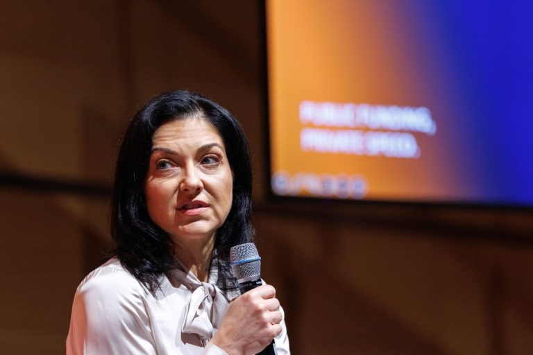 German Cabinet splits over EU combustion engine ban letter