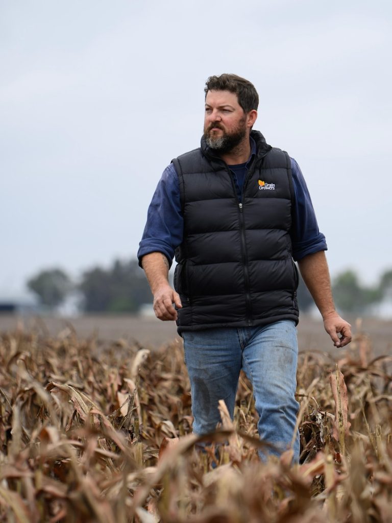 German chemical giant to release Roundup alternative in Australia
