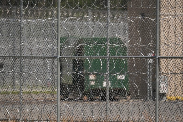 Ice Fears Put Pregnant Immigrants and Their Babies at Risk