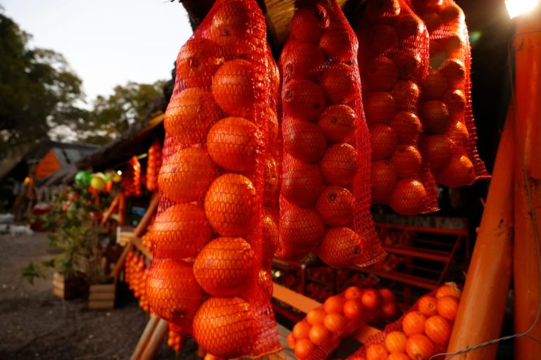 UK-EU reset leaves sour taste for South African citrus exporters
