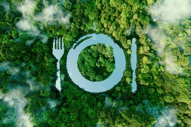 Why do food brands face roadblocks in going green?