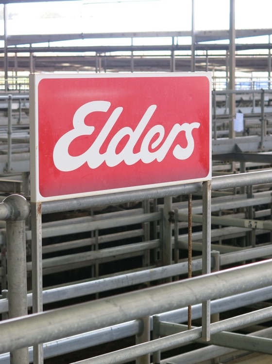 ACCC approves Elders’ $475m acquisition of agribusiness rival Delta