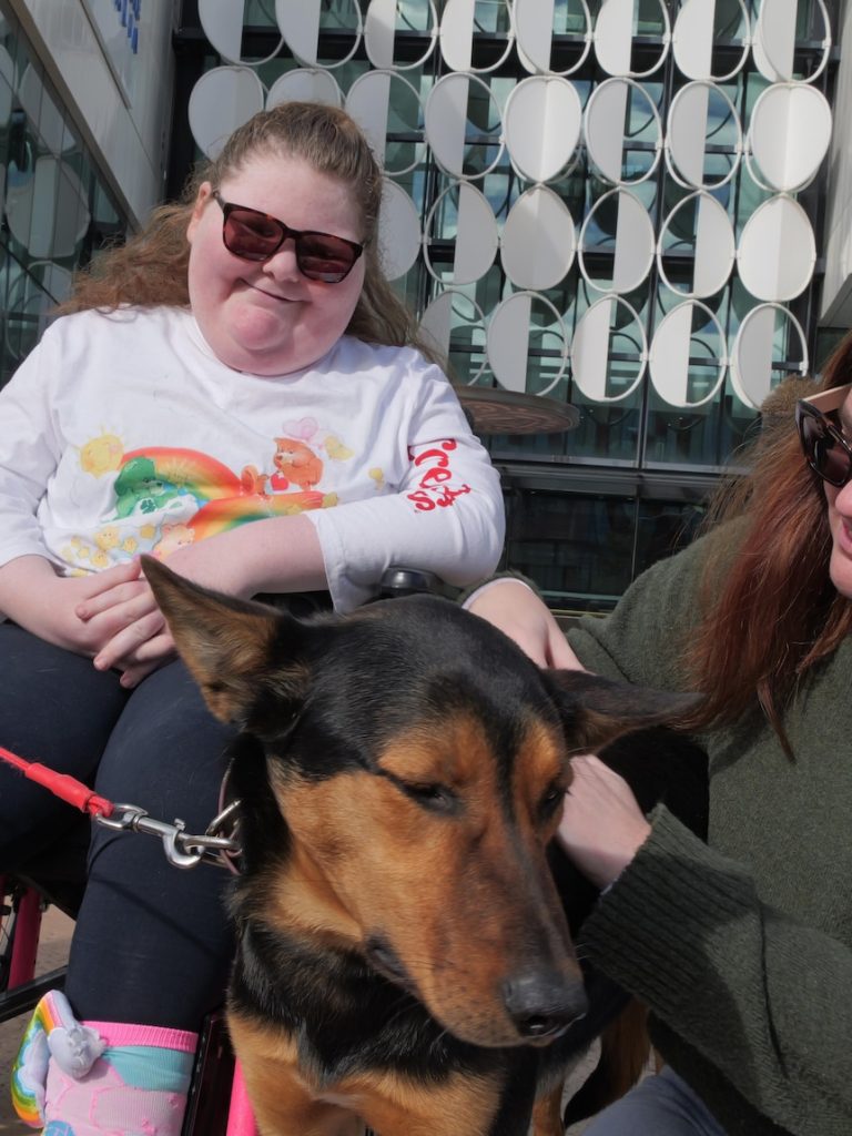 Working dog auction with a twist puts sick children at its centre
