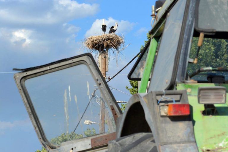 EU fraud investigators raid Greek farm funds agency